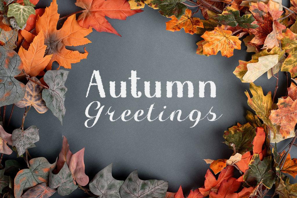 Halloween in Autumn typeface by Misti's Fonts