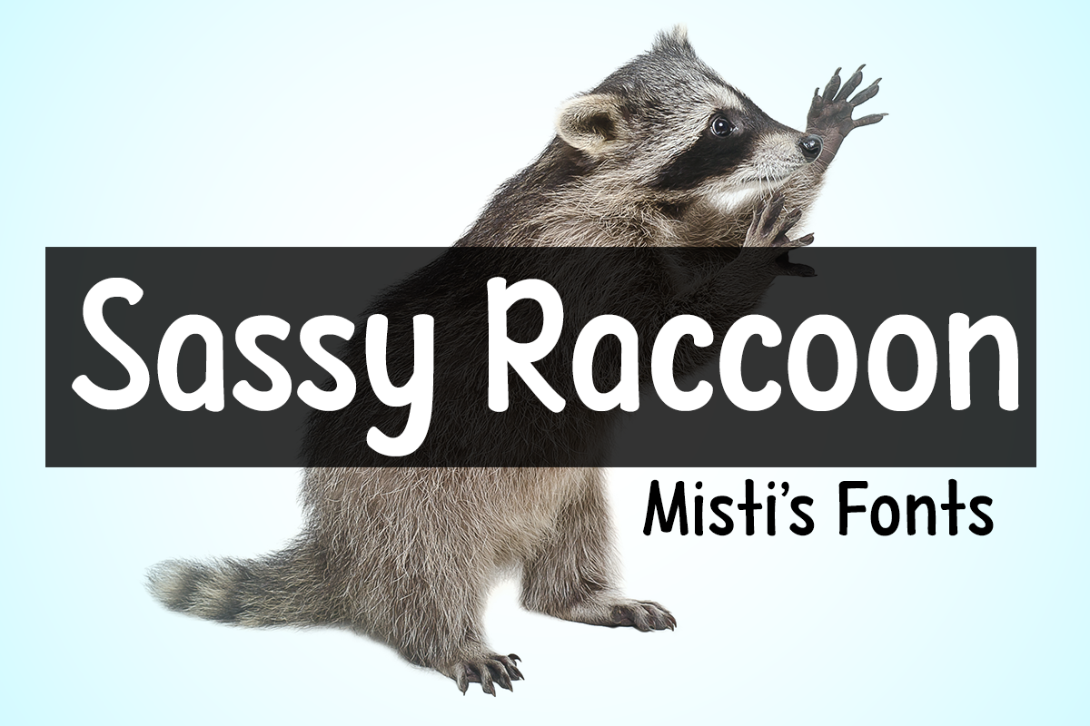 Sassy Raccoon Typeface by Misti's Fonts
