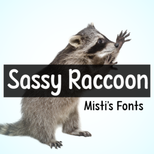 Sassy Raccoon Typeface by Misti's Fonts