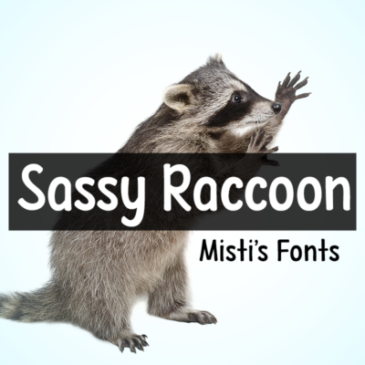 Sassy Raccoon