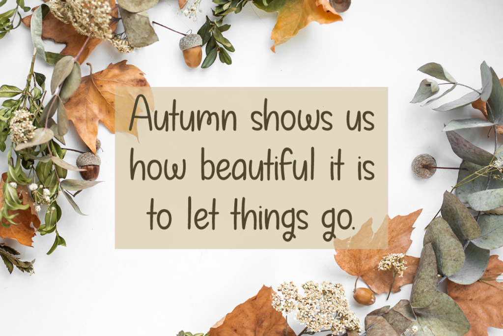 Autumn in September Typeface by Misti's Fonts