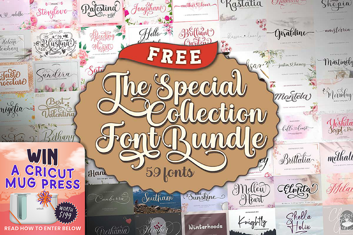 The Special Collection Font Bundle
