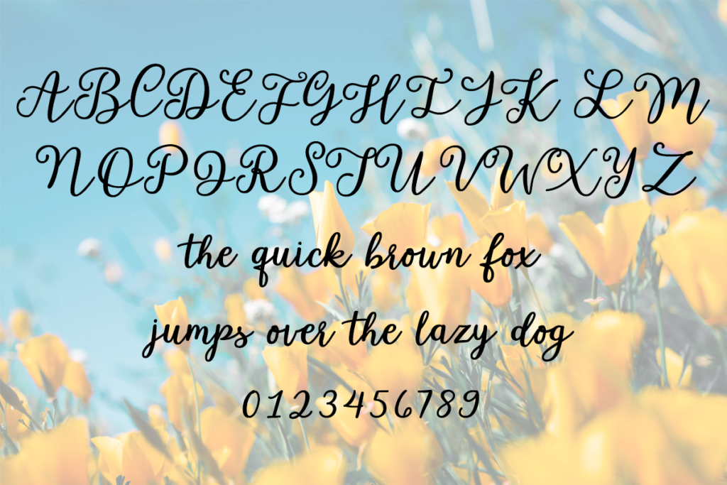 Garden Whimsy Typeface by Misti's Fonts