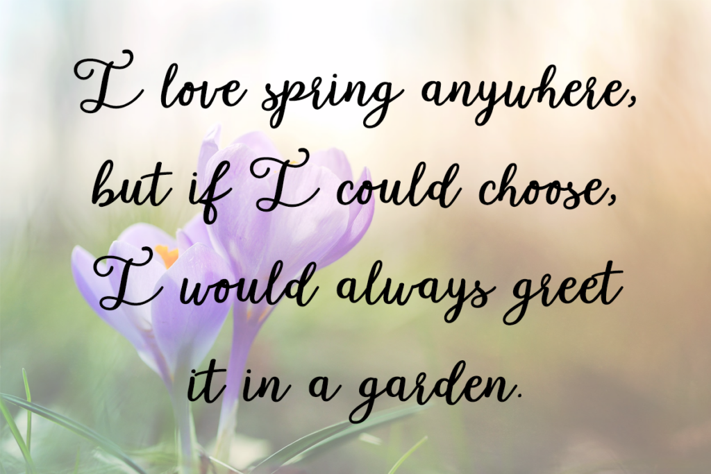 Garden Whimsy Typeface by Misti's Fonts