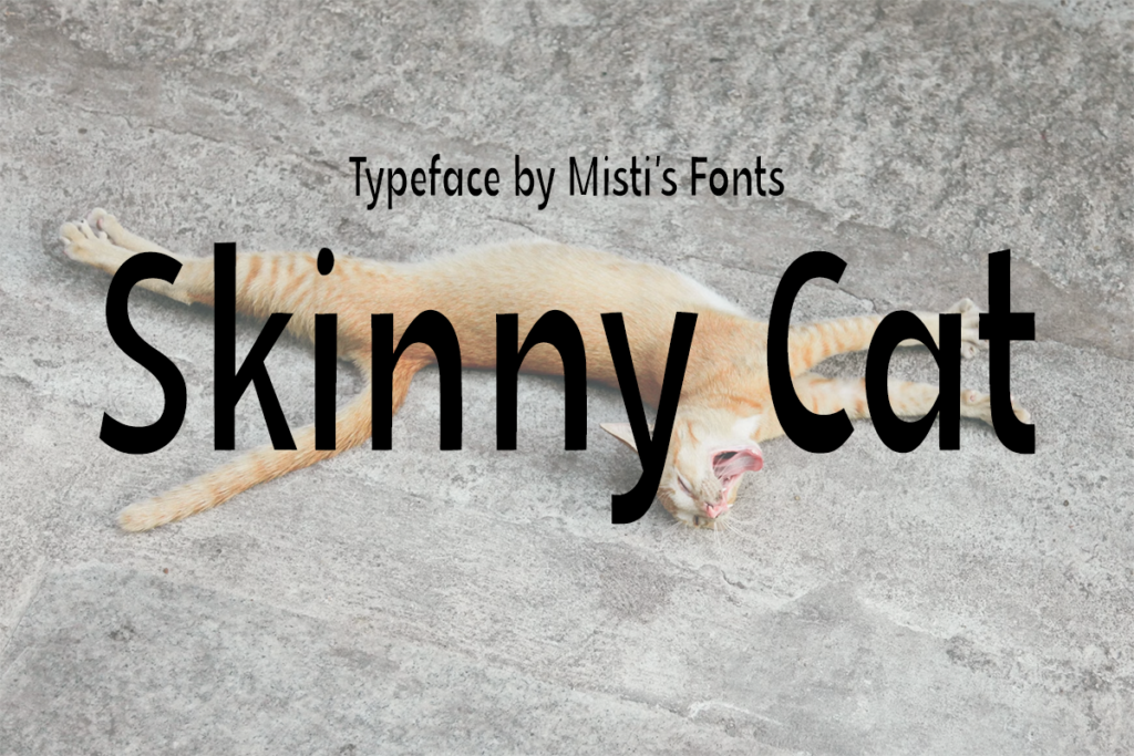 Skinny Cat Typeface by Misti's Fonts
