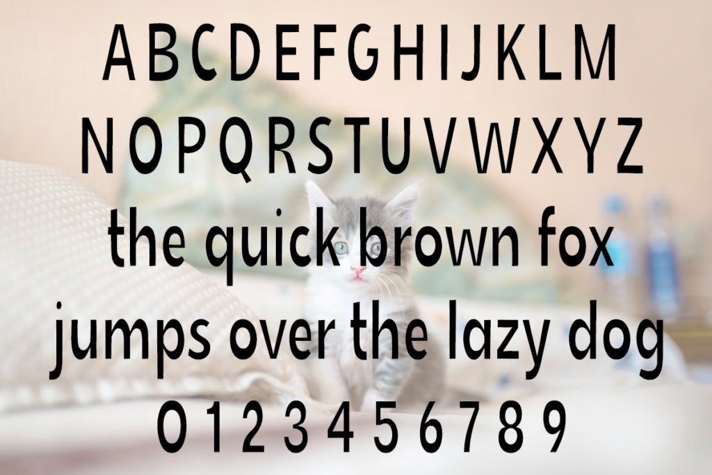 Skinny Cat Typeface by Misti's Fonts