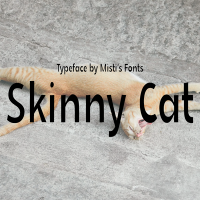 Skinny Cat Typeface by Misti's Fonts