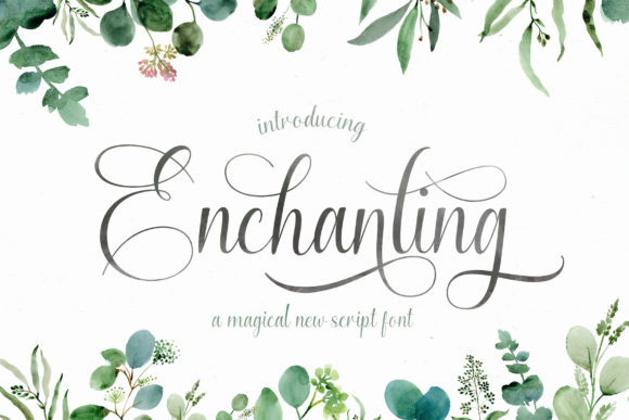 Enchanting Script Font
